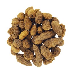 TIGERNUTS XXL Tigernuts