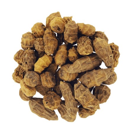 TIGERNUTS XXL Tigernuts