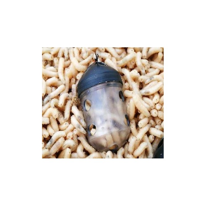BLACK CAP FEEDER Kamasan is an inline feeder for maggots.
