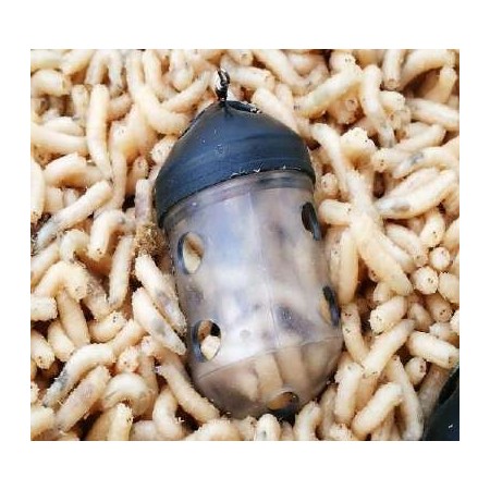 BLACK CAP FEEDER Kamasan is an inline feeder for maggots.