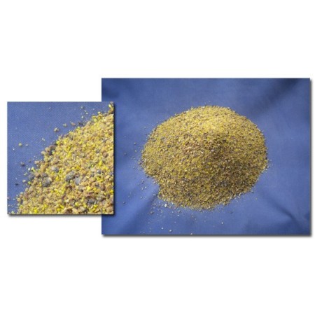 EXTREME Pan & Company