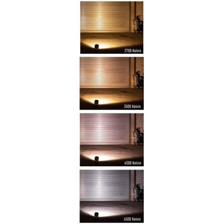 SOLIDLINE SAL2R Ledlenser