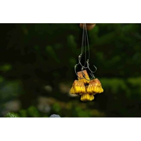 CARP OLD SCHOOL - PIZZA'CORN BANANA Carp Old School