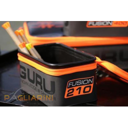 FUSION 210 Guru