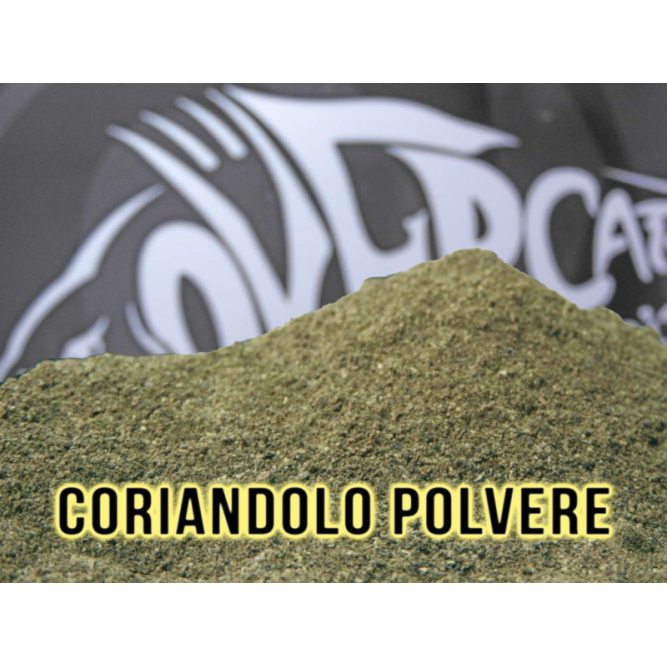 ?Coriandolo in Polvere 250 g Over Carp Baits