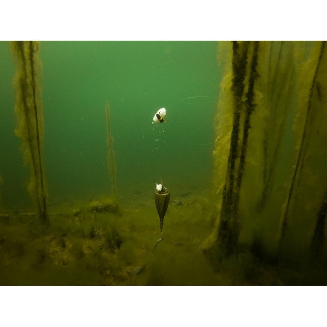 EDGES ZIG FLOAT KIT Fox