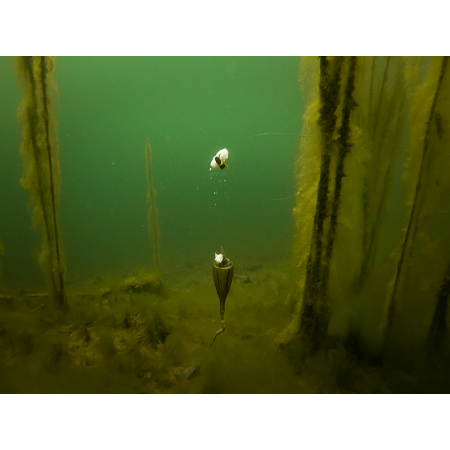 EDGES ZIG FLOAT KIT Fox