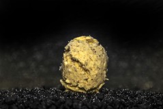 FAST SOLUTION BOILIES - BANANA & SCOPEX Any Water
