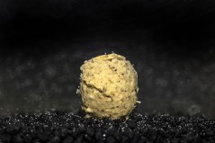 FAST SOLUTION BOILIES - CARAMEL NUT Any Water