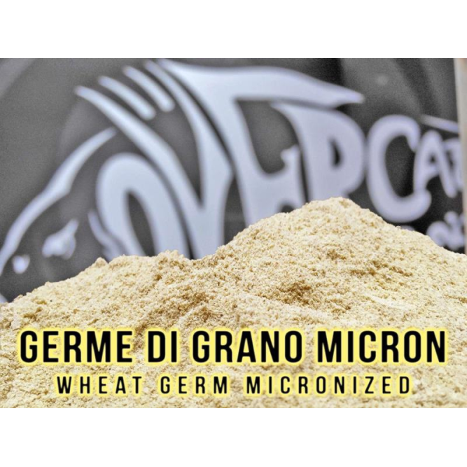 Germe di Grano Micronizzato Over Carp Baits