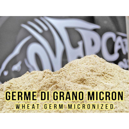 Germe di Grano Micronizzato Over Carp Baits