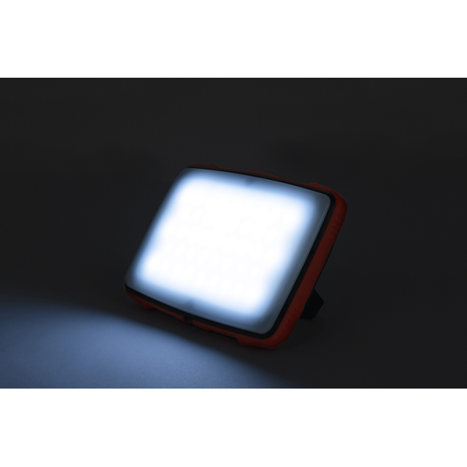 HALO PHOTOGRAPHY LIGHT Fox