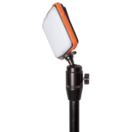 HALO PHOTOGRAPHY LIGHT Fox