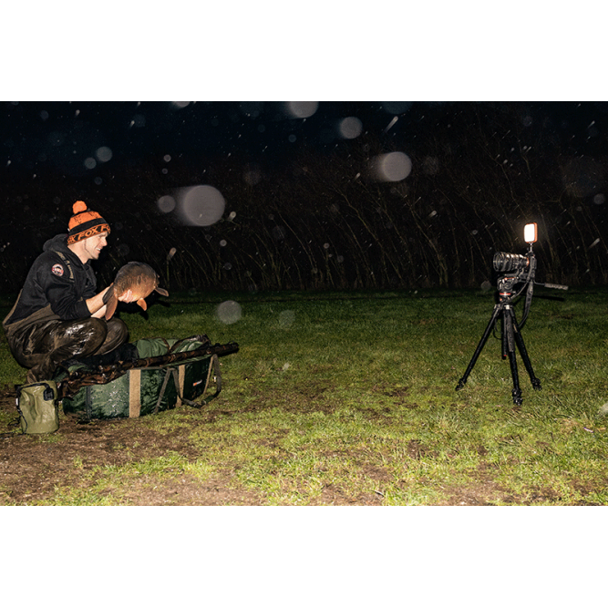 HALO PHOTOGRAPHY LIGHT Fox