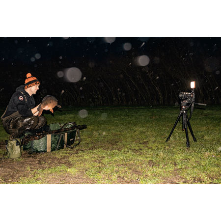 HALO PHOTOGRAPHY LIGHT Fox