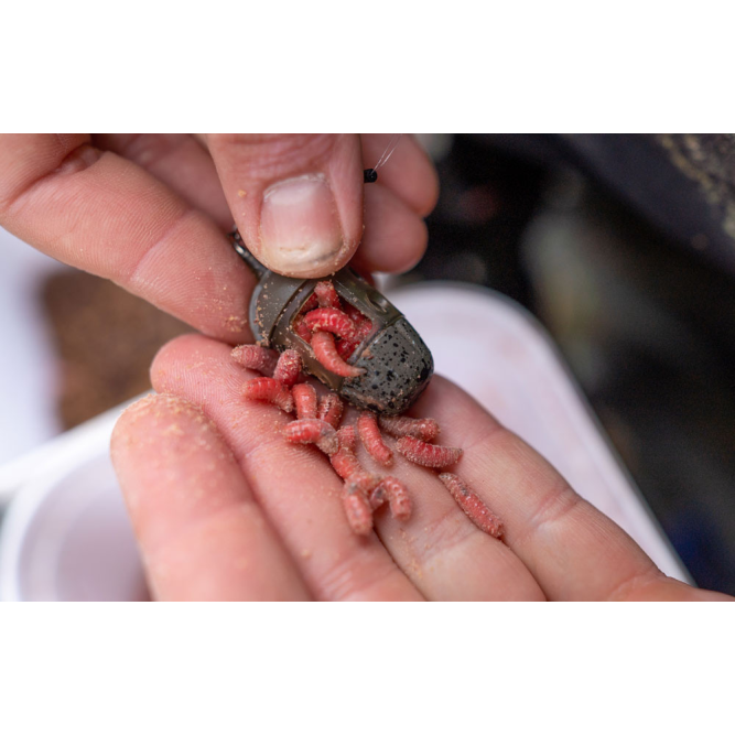ICM IN-LINE MAGGOT FEEDER Preston Innovation