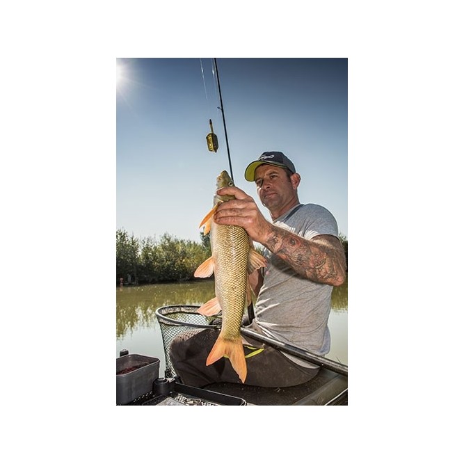 INLINE MAGGOT FEEDERS Matrix