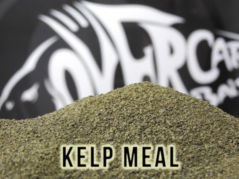 Kelp Meal - 1 KG Over Carp Baits