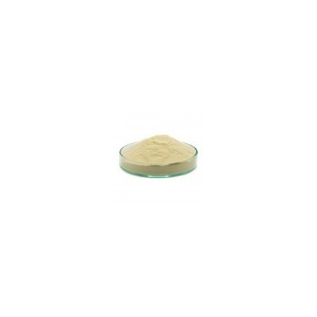 LACTALBUMIN Feedstimulants
