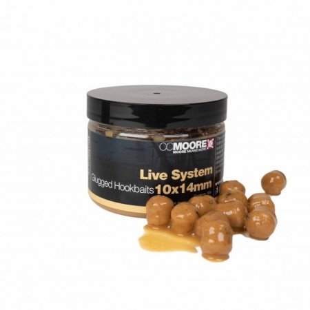 Live System Glug Hookbaits CCMoore