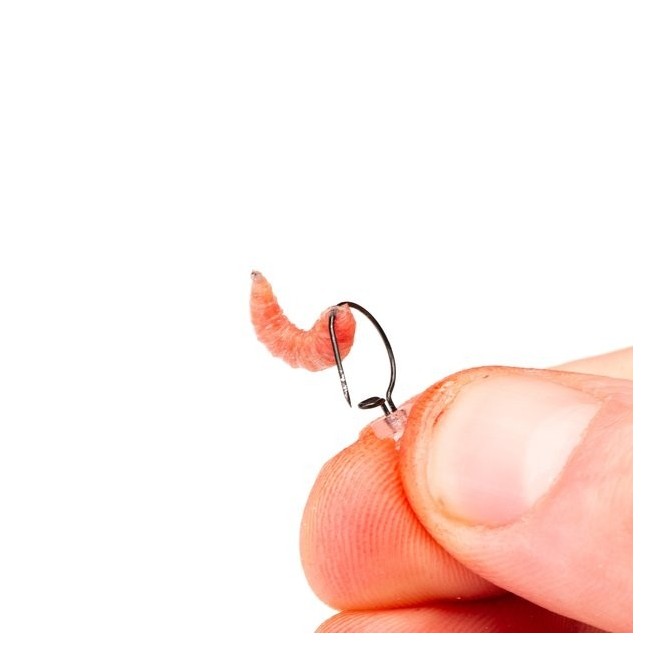 MAGGOT SCREW Nash Tackle