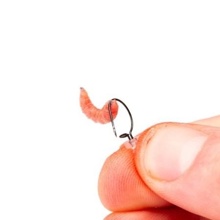MAGGOT SCREW Nash Tackle