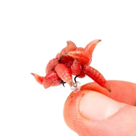 MAGGOT SCREW Nash Tackle