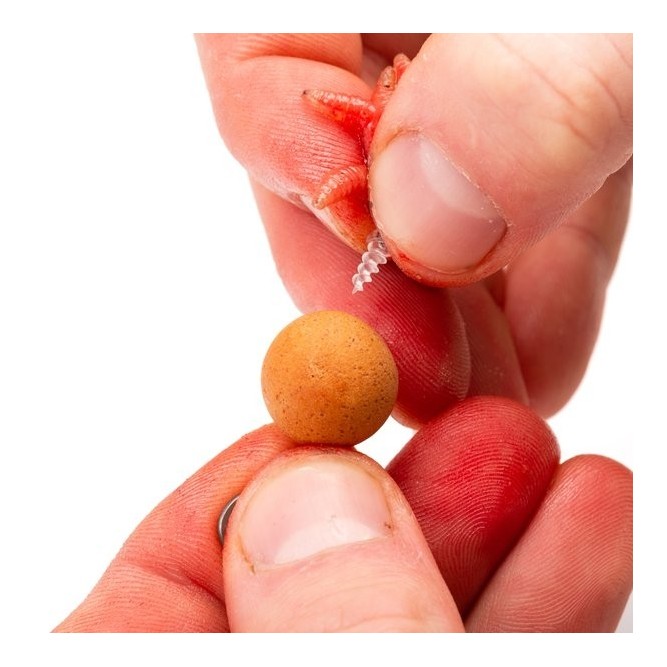 MAGGOT SCREW Nash Tackle