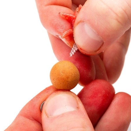 MAGGOT SCREW Nash Tackle