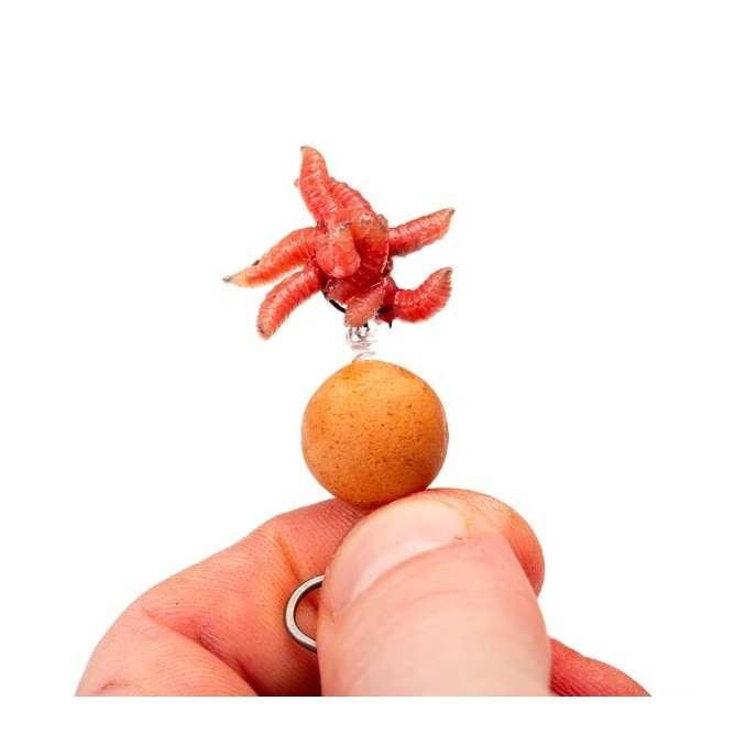 MAGGOT SCREW Nash Tackle