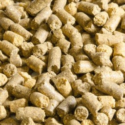 Trimax Natural Corn Pellets - 2 Kg