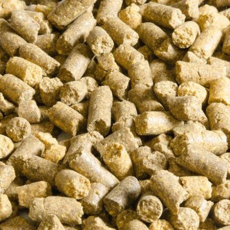 Trimax Natural Corn Pellets - 2 Kg