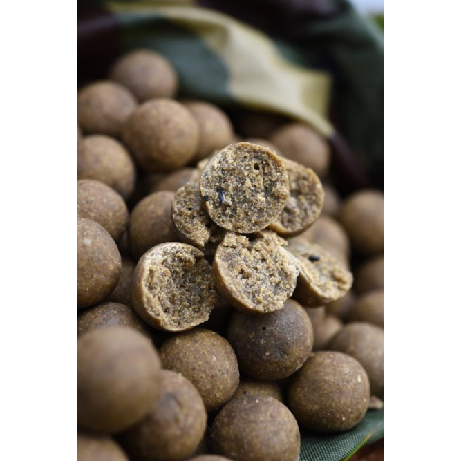 ODYSSEY XXX BOILIES CC-Moore