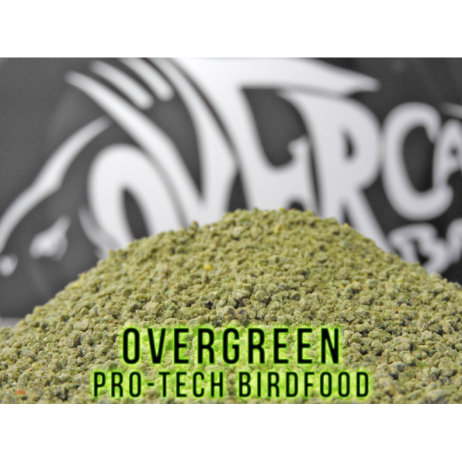 Overgreen Pro-Tech Birdfood - 1 KG Over Carp Baits