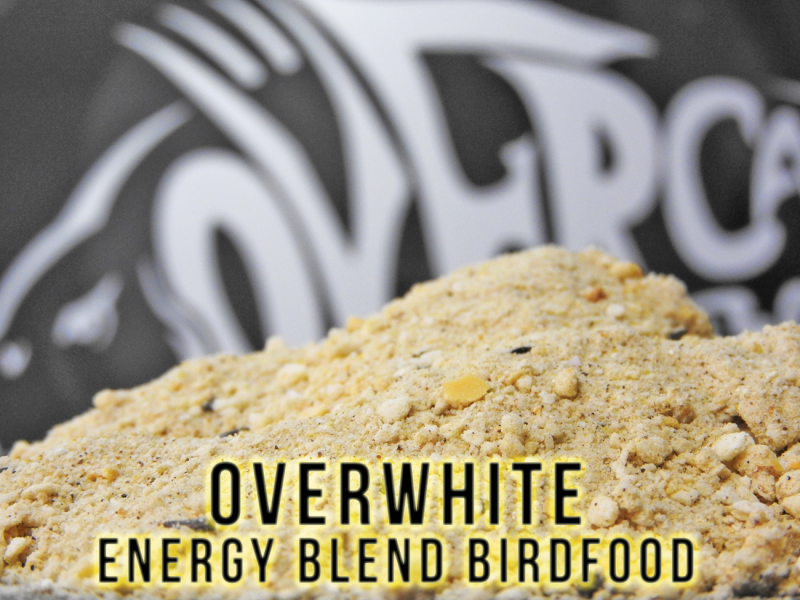 Overwhite Energy Blend Birdfood - 1 KG Over Carp Baits