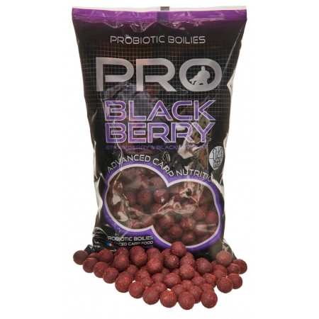PRO BLACKBERRY BOILIES Starbaits