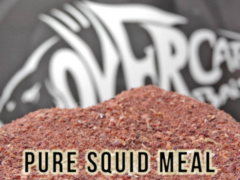 ?Pure Squid Meal Over Carp Baits