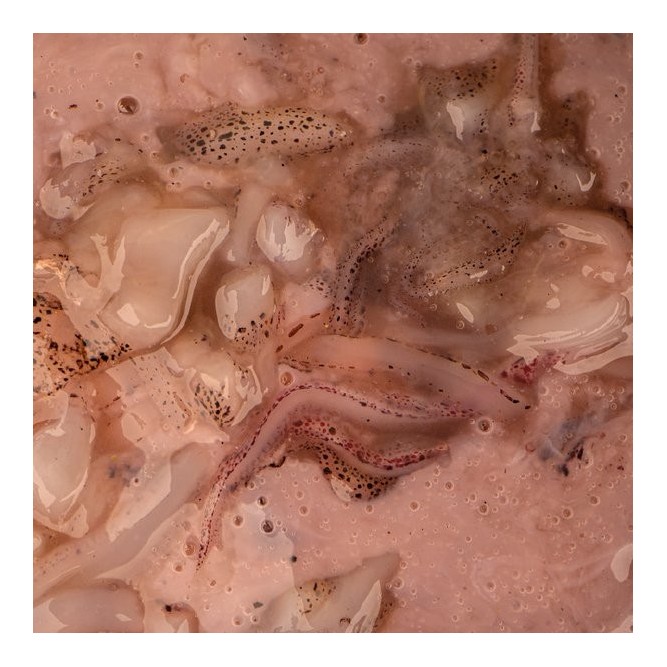 SALTED SQUID Nash Tackle