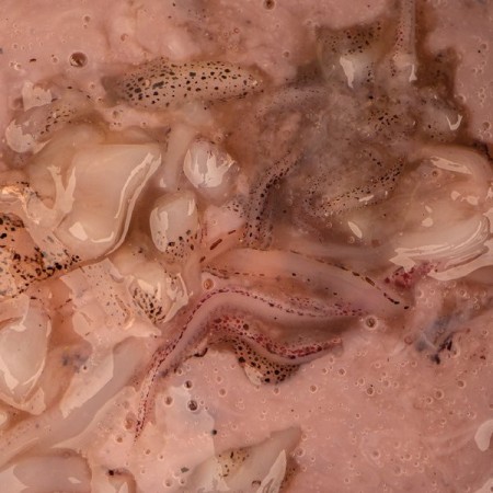 SALTED SQUID Nash Tackle
