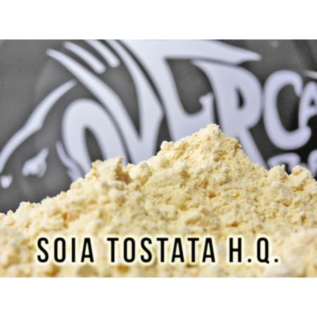 ?Soia Tostata Micronizzata H. Q. Over Carp Baits
