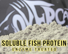 Soluble Fish Protein Over Carp Baits