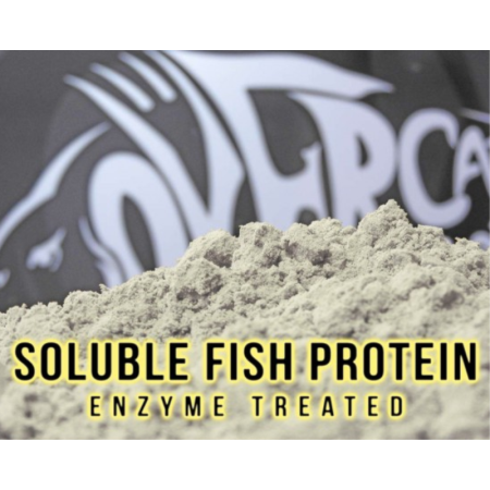 Soluble Fish Protein Over Carp Baits