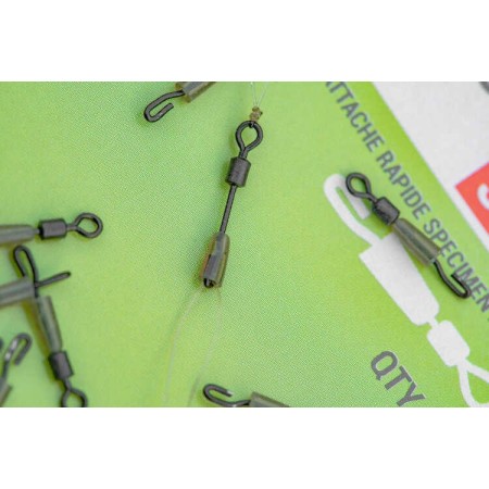 SPECIMEN QUICK SNAP SWIVELS Korum