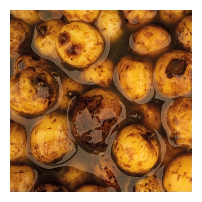 SWEET TIGERNUTS Nash Tackle