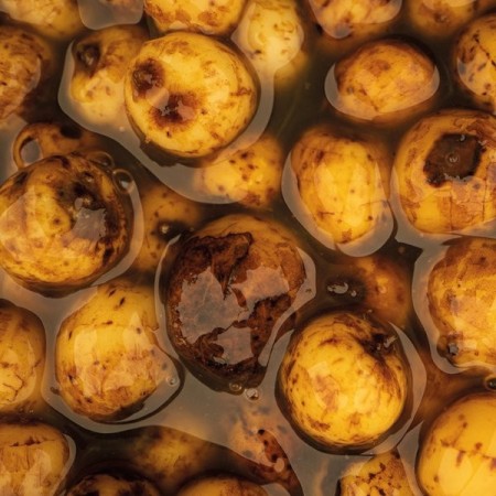 SWEET TIGERNUTS Nash Tackle