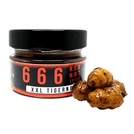 TIGER NUT XXL BAIT - 666 ROD HOT SPICES Over Carp Baits