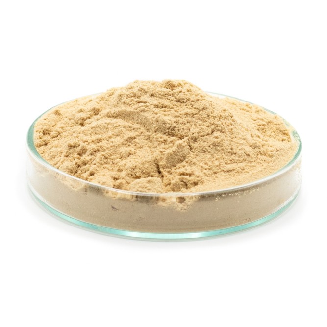 YEAST CULTURE (BROCACEL) Feedstimulants