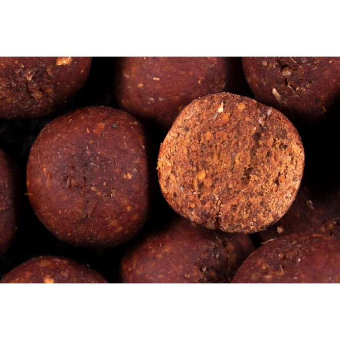 TOP BOILIES - B.L.B. (BLOODWORM - LIVER - BUTTIRIC ACID) Any Water