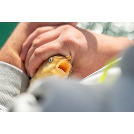 MATRIX SUPER SOFT BAIT BANDS Matrix