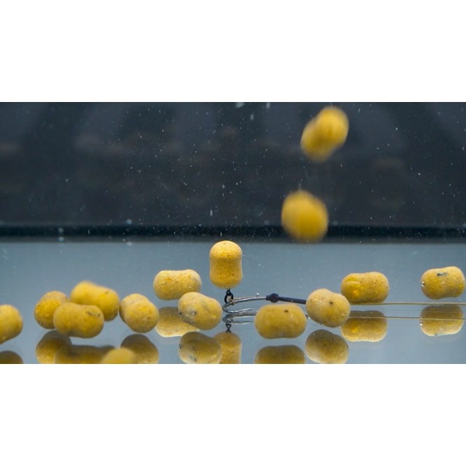 CCMoore Live System Dumbell Wafter 10x15